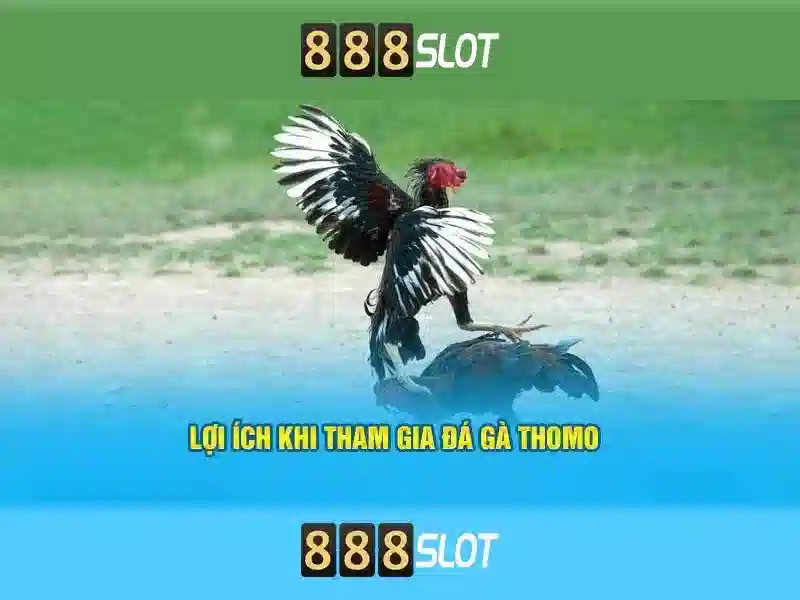 Điều khoản và điều kiện – Giúp bạn an tâm khi tham gia 888SLOT