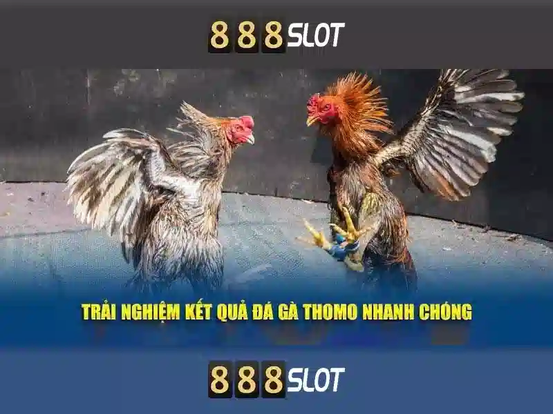 Quyền lợi và trách nhiệm của người chơi tại 888SLOT