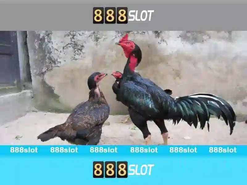 Chiến lược chiến thắng 888SLOT