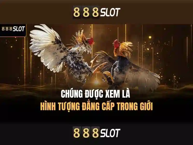 Khám Phá 888SLOT