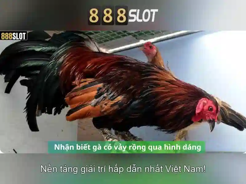 Tỷ Lệ Thưởng 888slot game