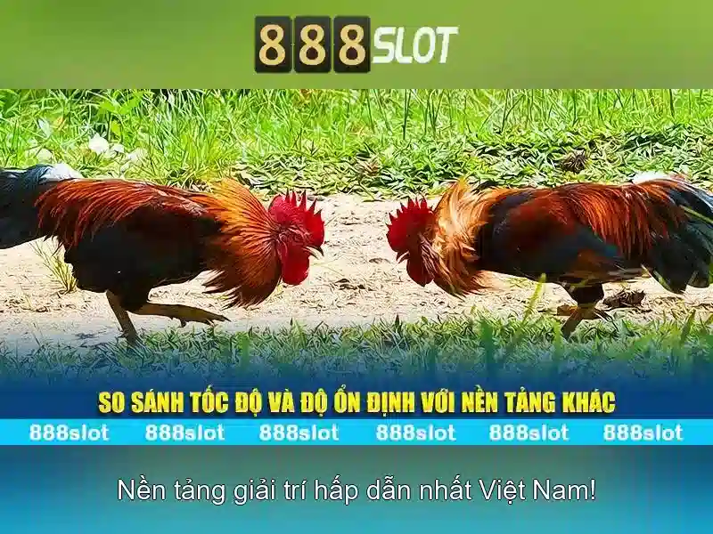 quy trình tải 888 slot