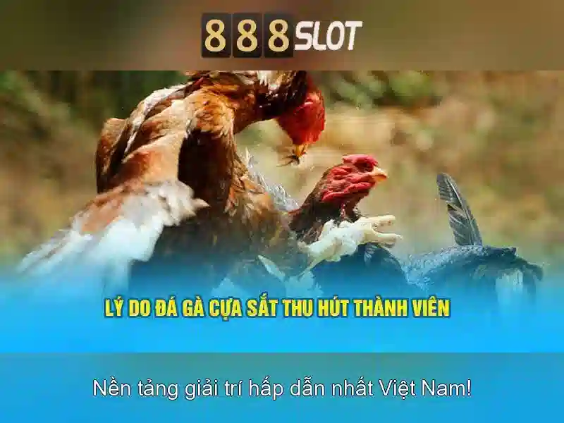 Hướng Dẫn Sử Dụng Mã Nhận Thưởng