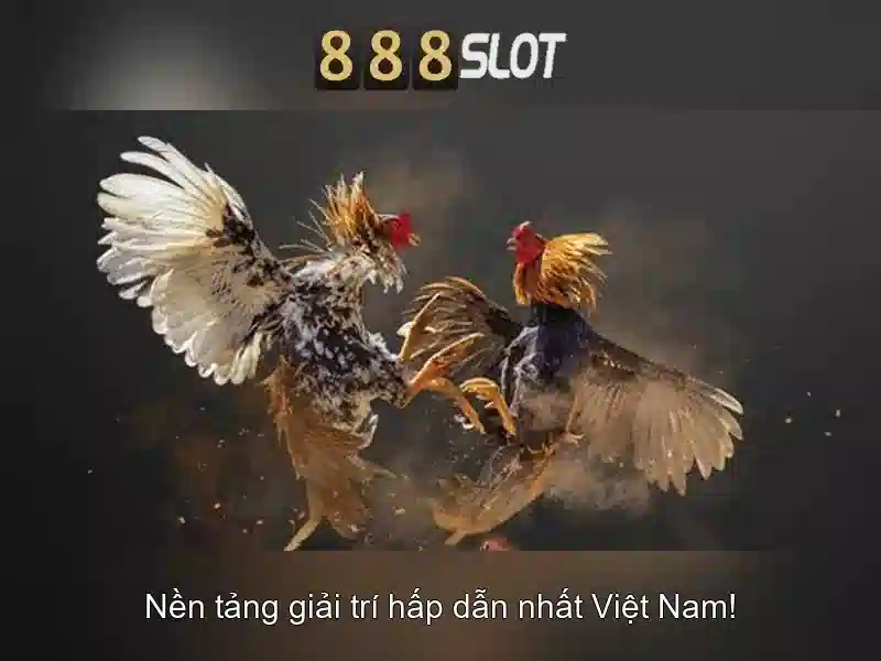 Trách nhiệm người chơi 888SLOT IMG&A</p><h2><strong>Chính Sách Bảo Mật 888SLOT – Đảm Bảo An Toàn Dữ Liệu</strong></h2><p>888SLOT áp dụng nhiều lớp bảo mật để ngăn chặn rủi ro:</p><ul><li><strong>Tường Lửa</strong>: Hệ thống được bảo vệ bởi tường lửa hiện đại, ngăn chặn xâm nhập.</li><li><strong>Kiểm Soát Truy Cập</strong>: Chỉ những tài khoản hợp lệ mới được truy cập vào hệ thống.</li><li><strong>Phân Tích Dữ Liệu</strong>: Sử dụng AI để phát hiện hoạt động bất thường và ngăn chặn rủi ro.</li></ul><p class='body_img'><div class=