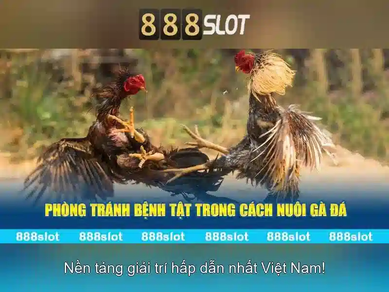 Tính Năng Độc Quyền Của 888SLOT