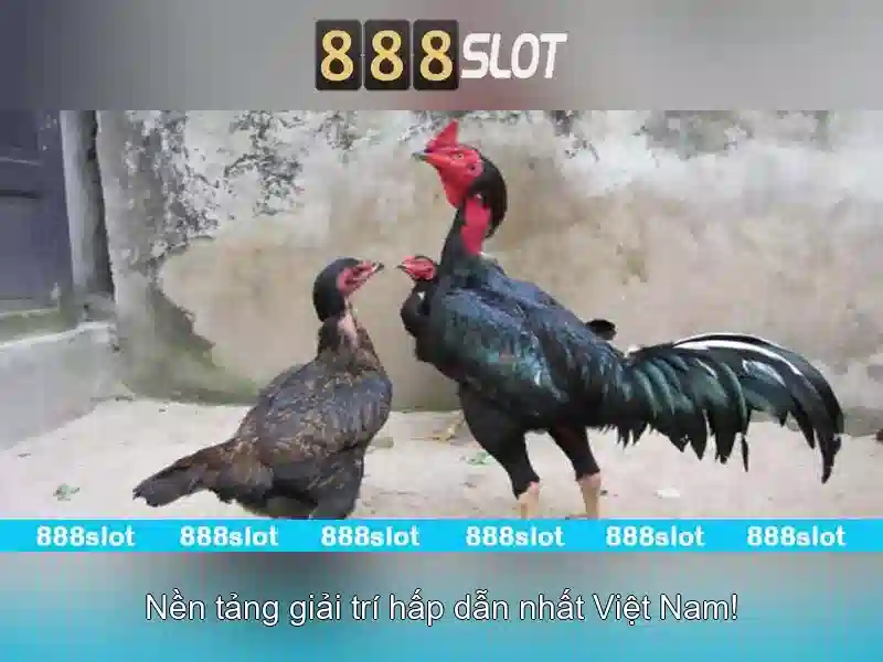 Cách Tải 888slot APK Mới Nhất 2026